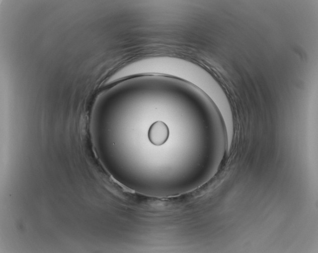 X0000115770325200911131222