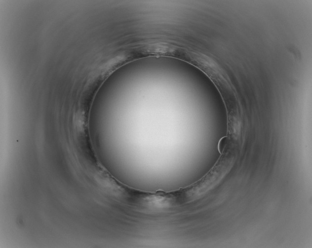 X0000115770326200911131222