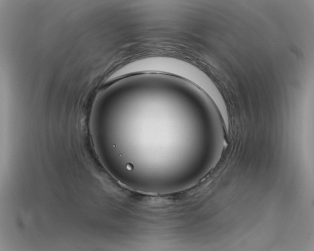 X0000115770327200911131222