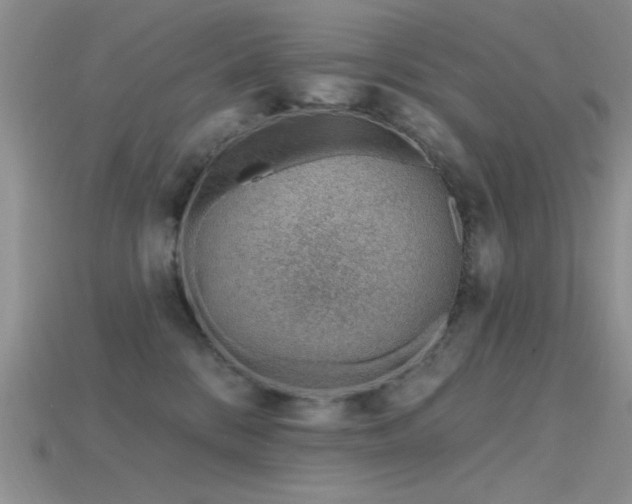 X0000115770328200911131222