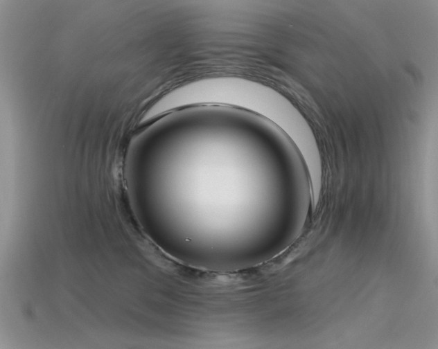 X0000115770329200911131222