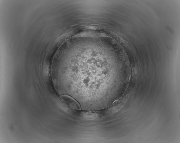 X0000115770331200911131222