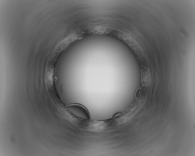 X0000115770334200911131222