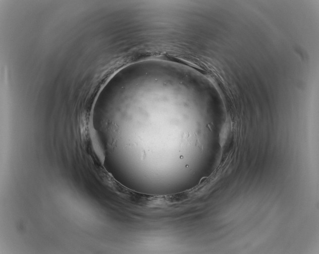 X0000115770335200911131222