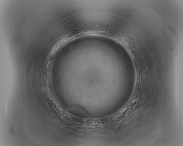 X0000115770337200911131221