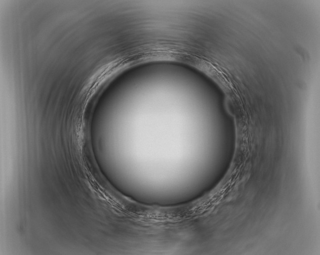 X0000115770338200911131221