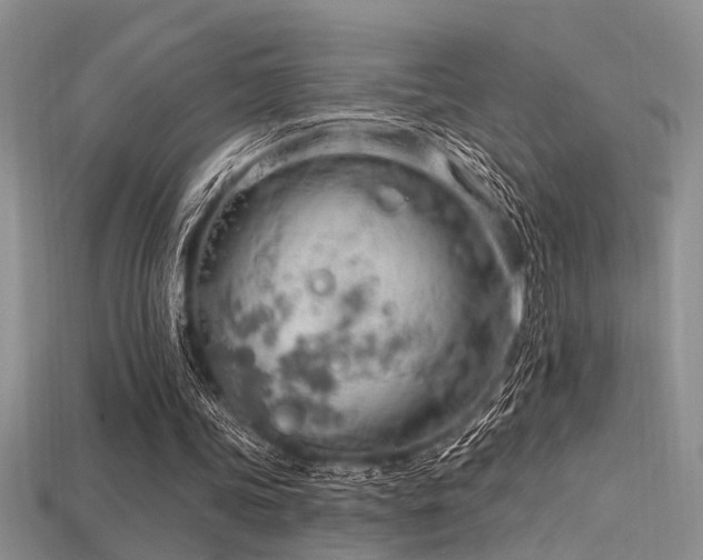 X0000115770339200911131221