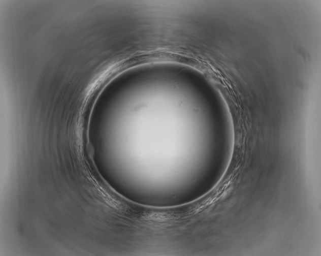 X0000115770341200911131221