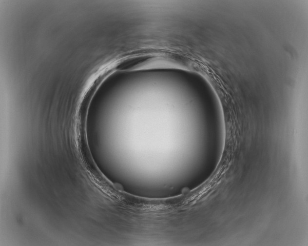 X0000115770342200911131221