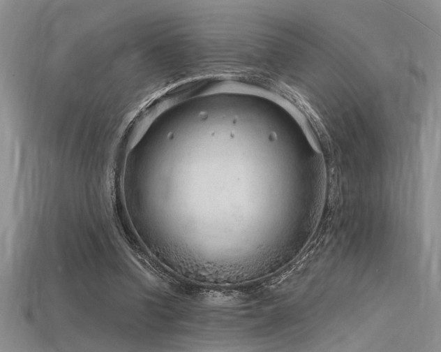 X0000115770346200911131222