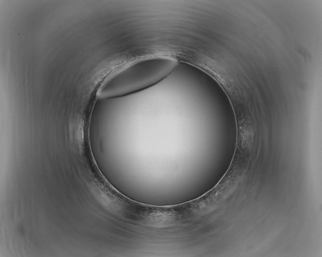 X0000115770350200911131222