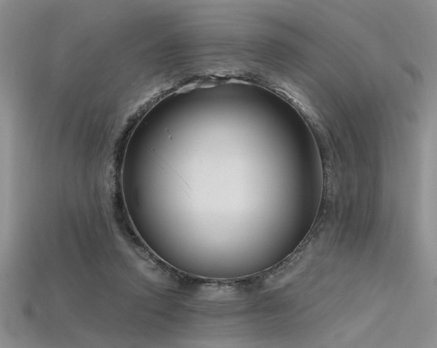 X0000115770354200911131222