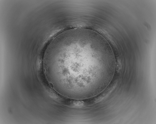 X0000115770355200911131222