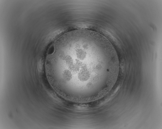 X0000115770359200911131222