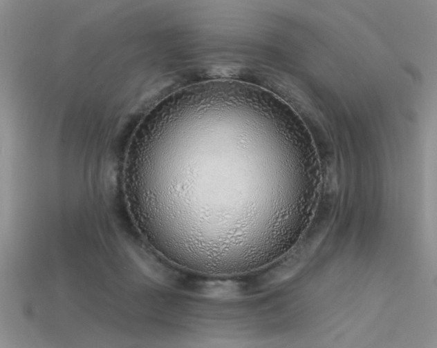 X0000115770363200911131222
