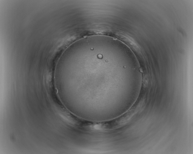 X0000115770365200911131222