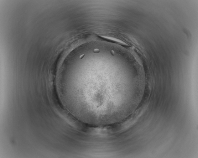 X0000115770366200911131222