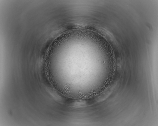 X0000115770369200911131222