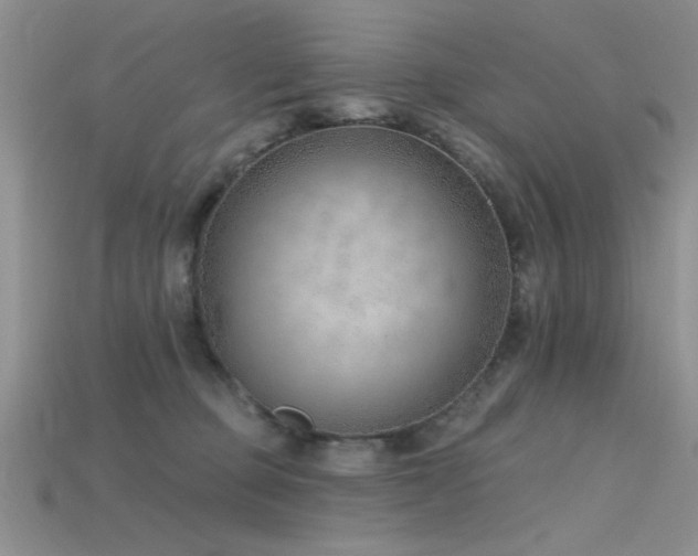 X0000115770373200911131222