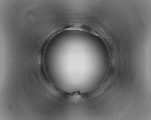 X0000115770374200911131222