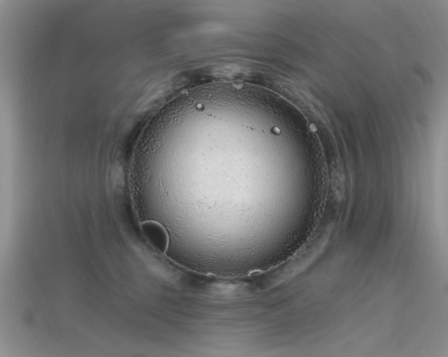 X0000115770375200911131222