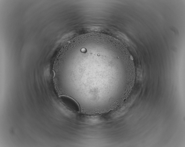 X0000115770377200911131222