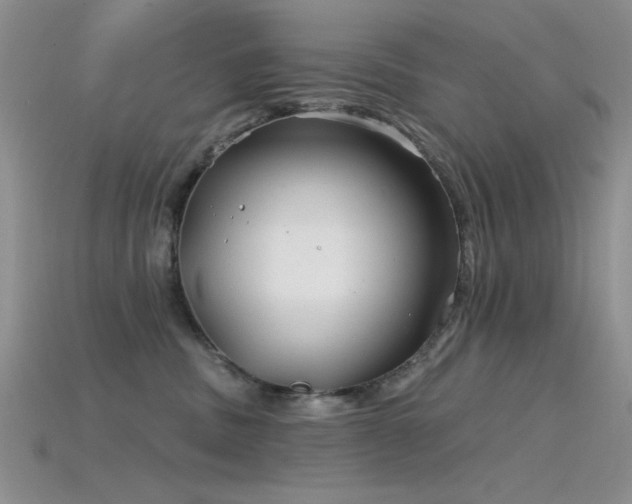 X0000115770379200911131222