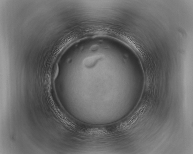X0000115770386200911131221