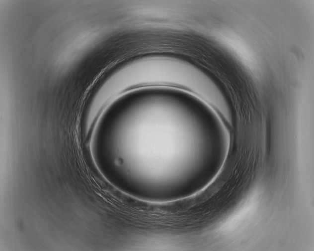 X0000115770387200911131221