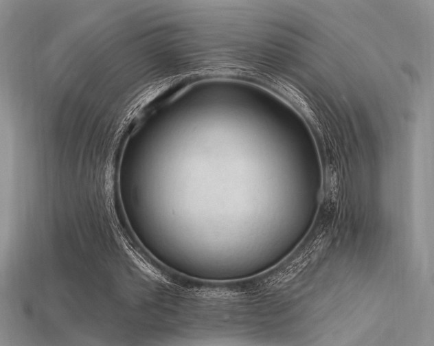 X0000115770389200911131221