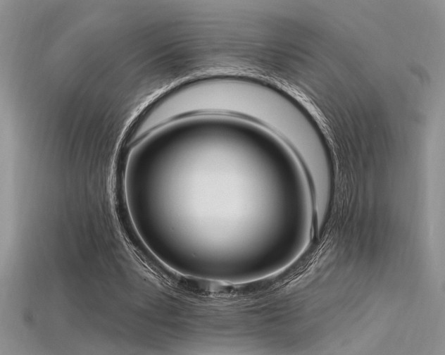 X0000115770391200911131221