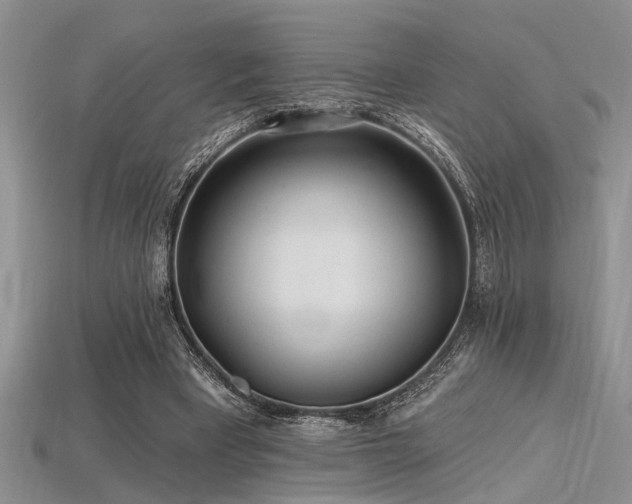 X0000115770393200911131221