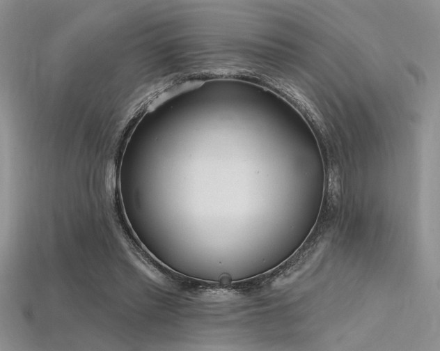 X0000115770397200911131221