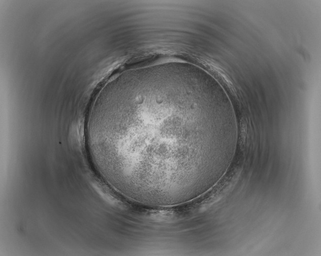 X0000115770398200911131221