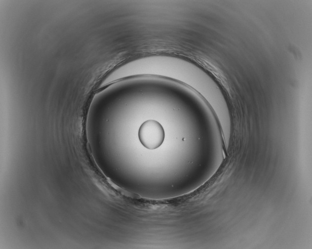 X0000115770401200911131221
