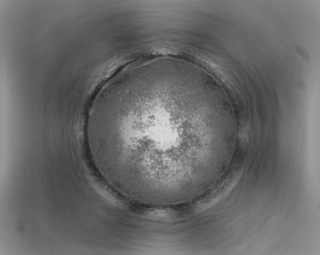 X0000115770402200911131221