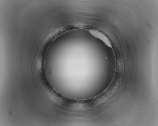 X0000115770404200911131221