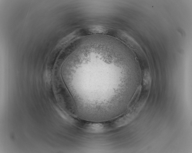 X0000115770409200911131221