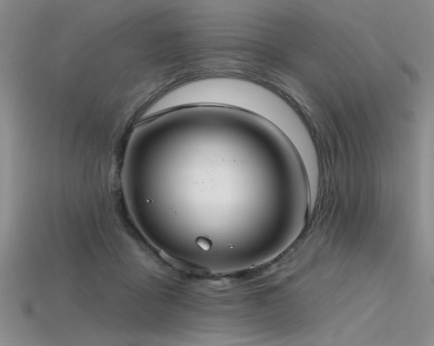 X0000115770411200911131221