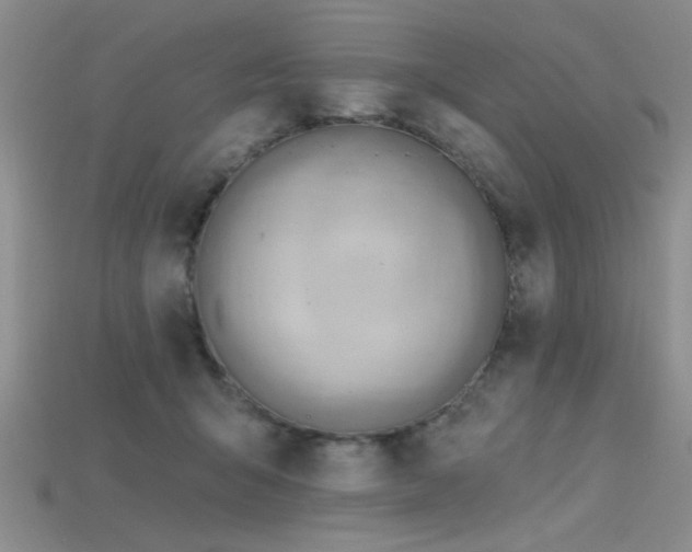 X0000115770415200911131221