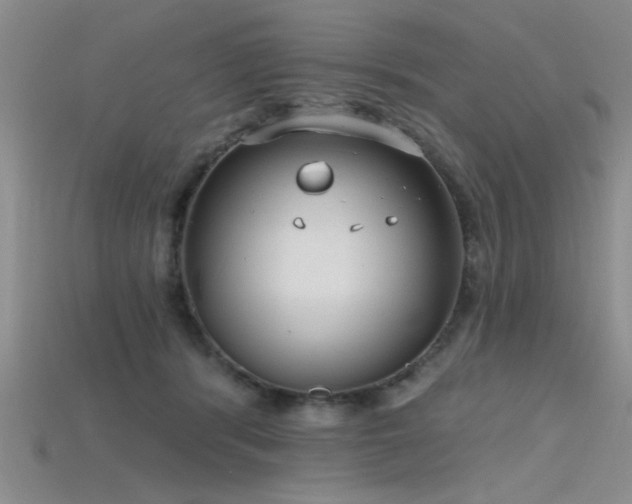 X0000115770416200911131221
