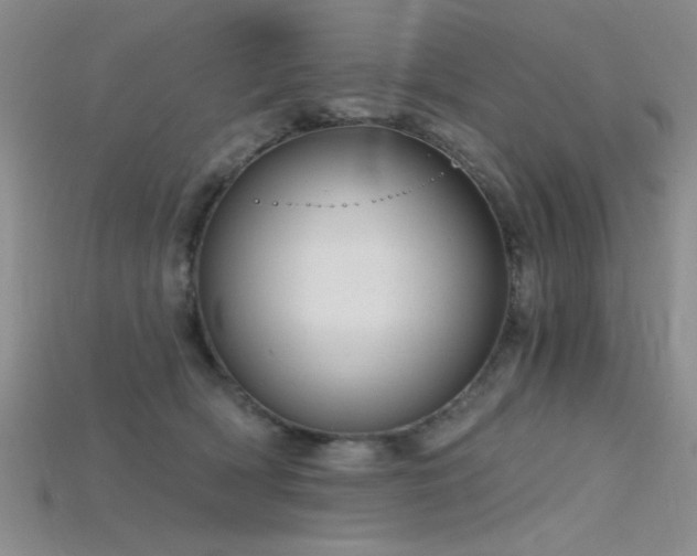 X0000115770418200911131221