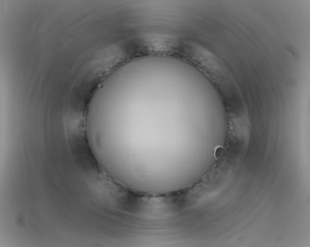 X0000115770419200911131221