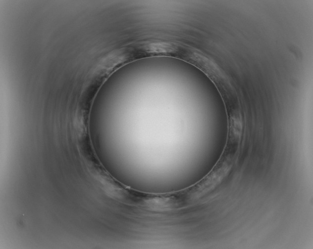 X0000115770422200911131221