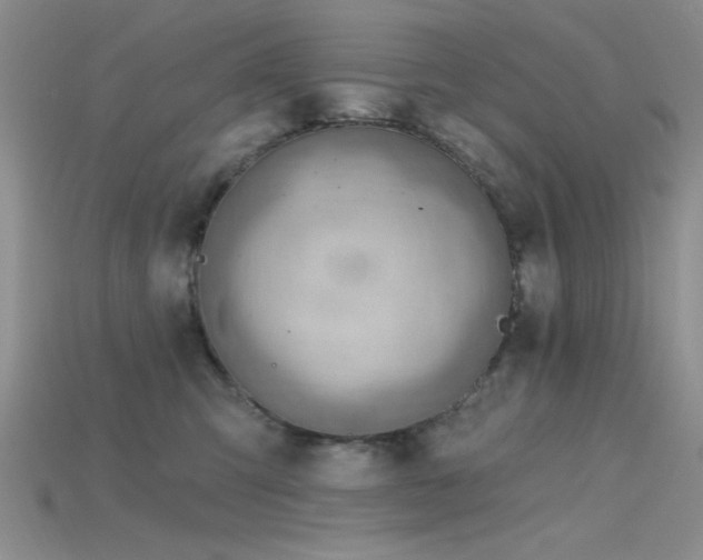 X0000115770423200911131221