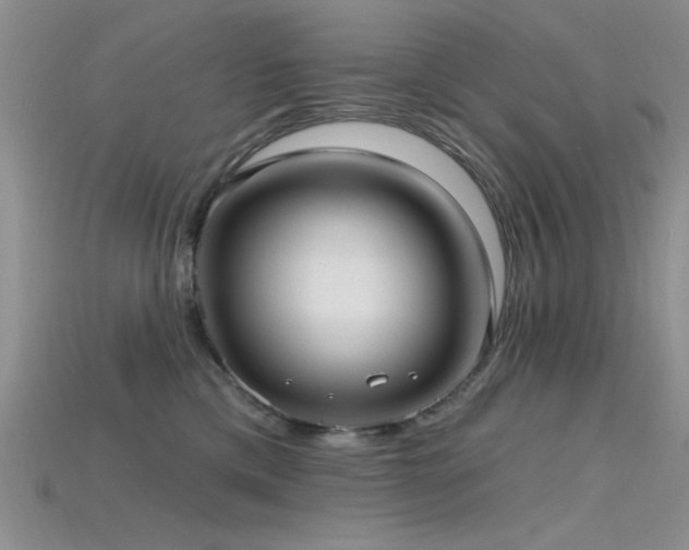 X0000115770425200911131221