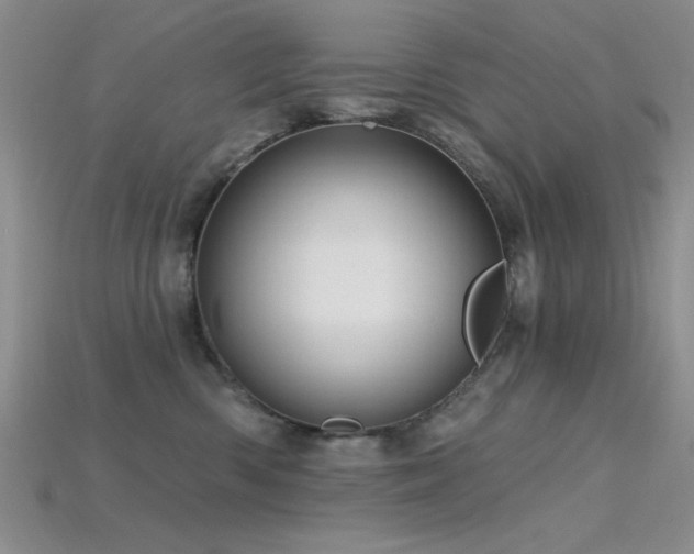 X0000115770426200911131221