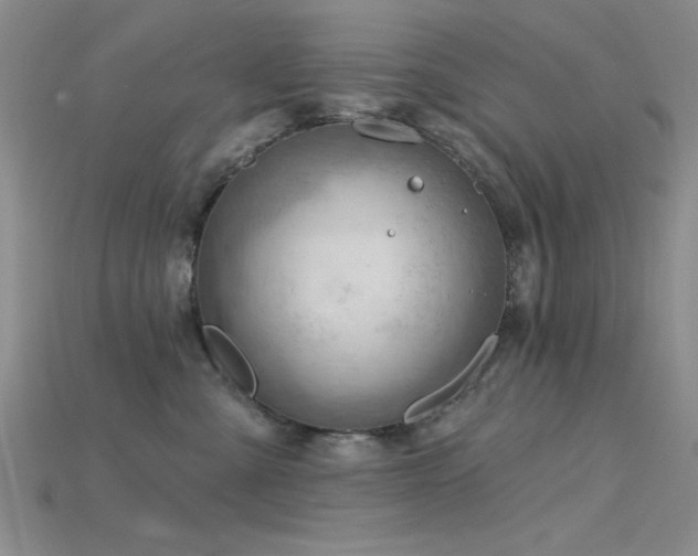 X0000115770427200911131221