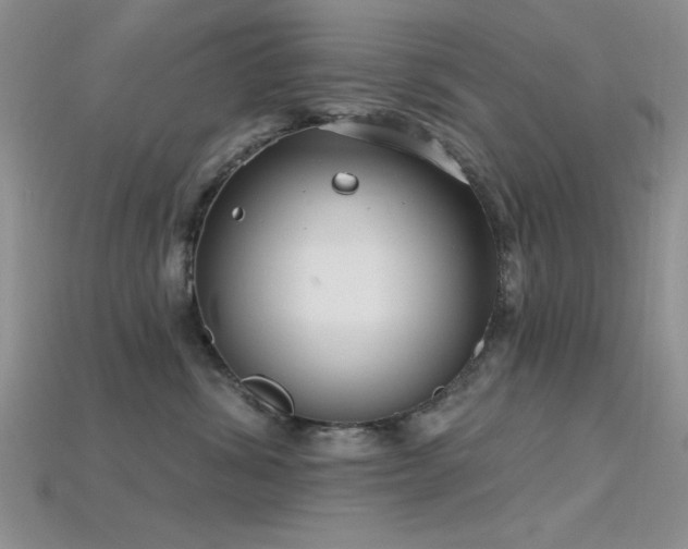 X0000115770428200911131221