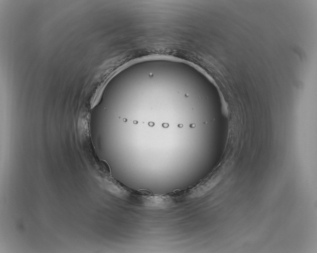 X0000115770432200911131221